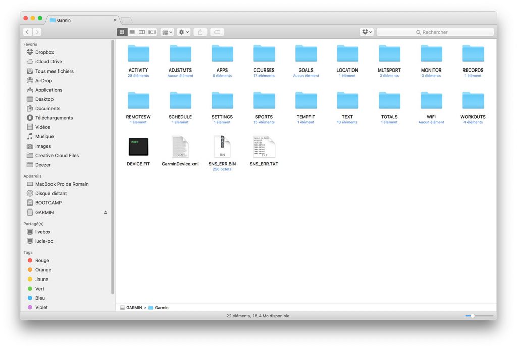 Dossier de la montre Garmin une fois branchée en USB